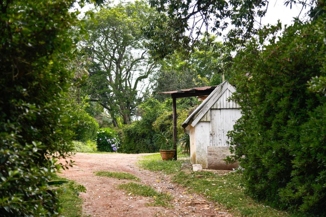 The Knoll Historic Guest Farm Βίλα Hilton Εξωτερικό φωτογραφία