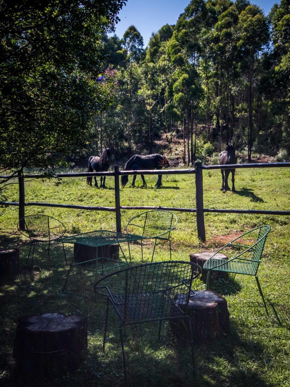 The Knoll Historic Guest Farm Βίλα Hilton Εξωτερικό φωτογραφία